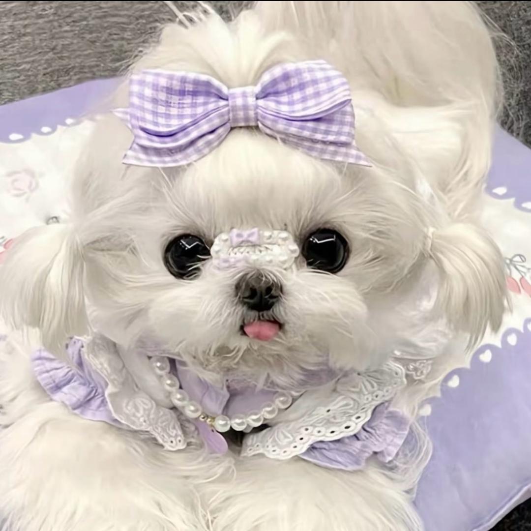 去吧！皮卡丘~~~