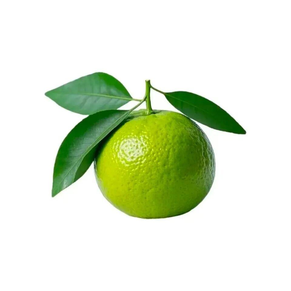 💫吉星到