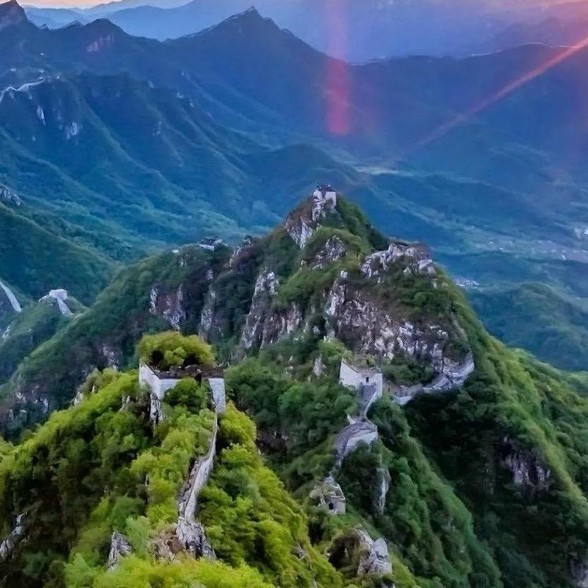巍巍