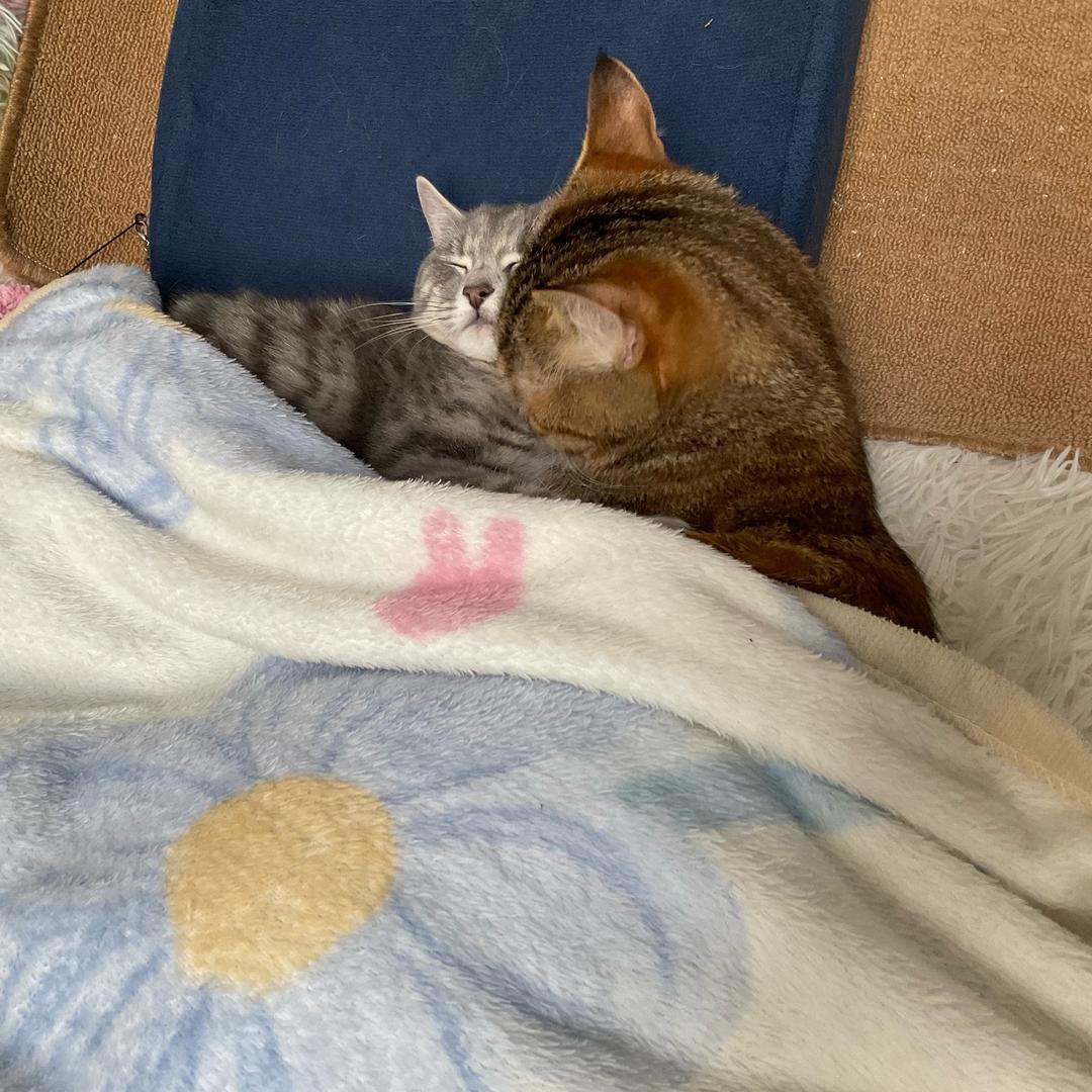 终有弱水替沧海、