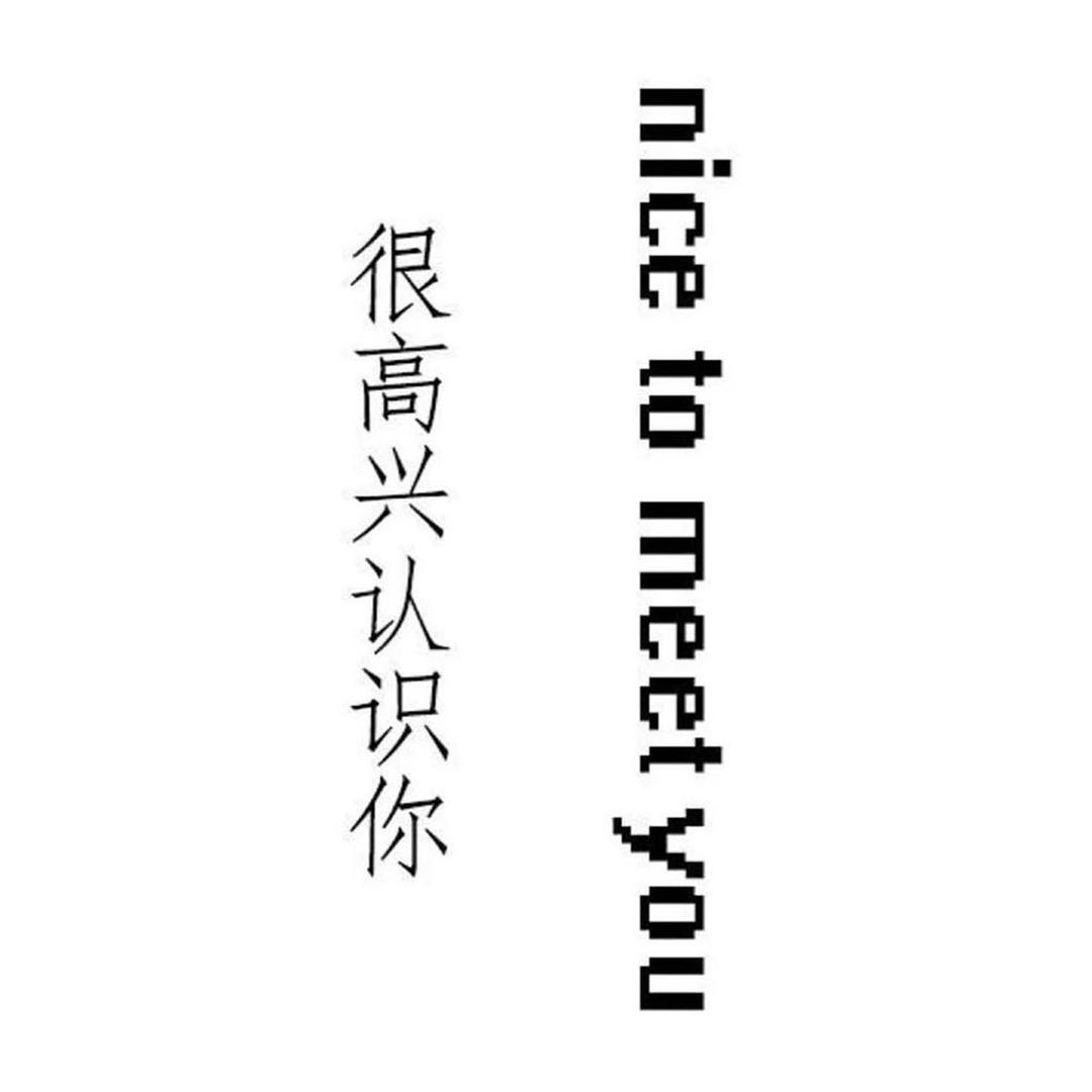 Destiny命运