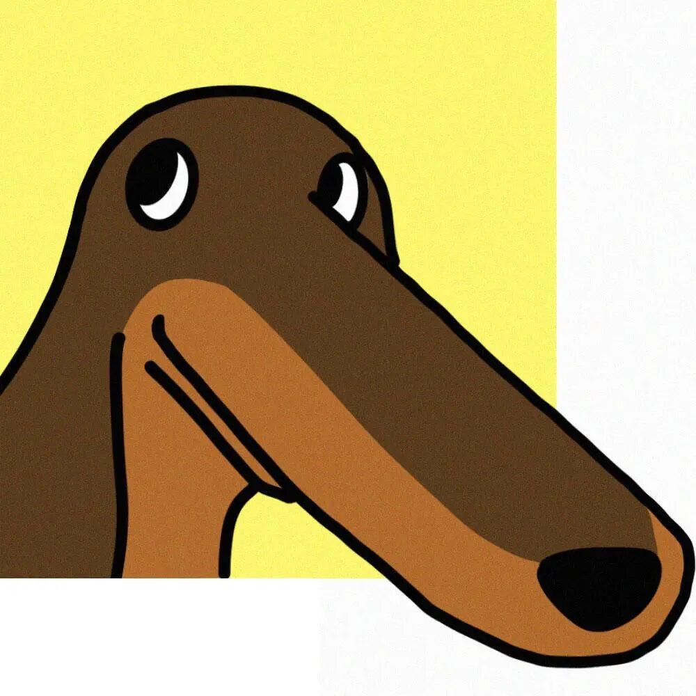 小灰灰