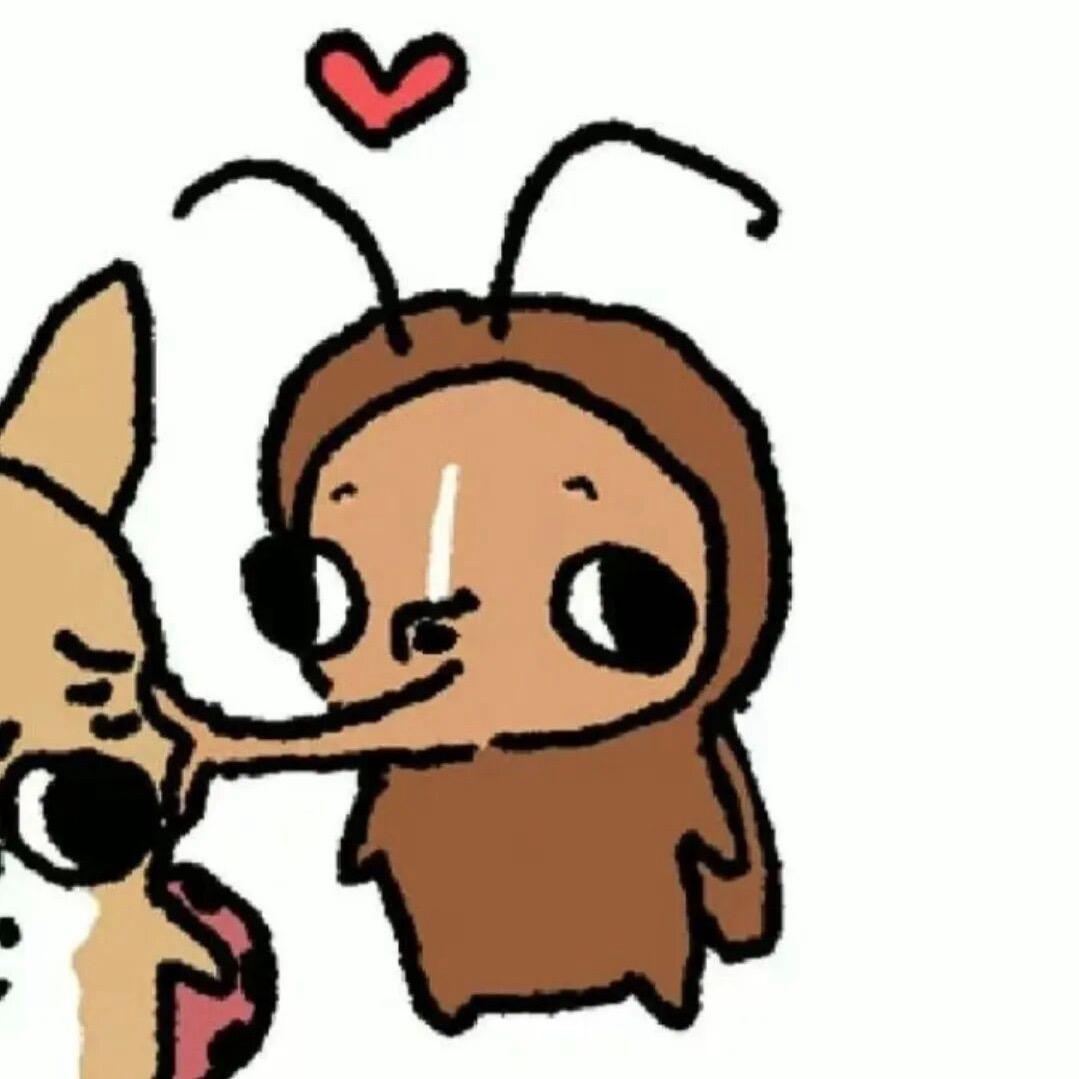 道上叫我邪恶鼻史