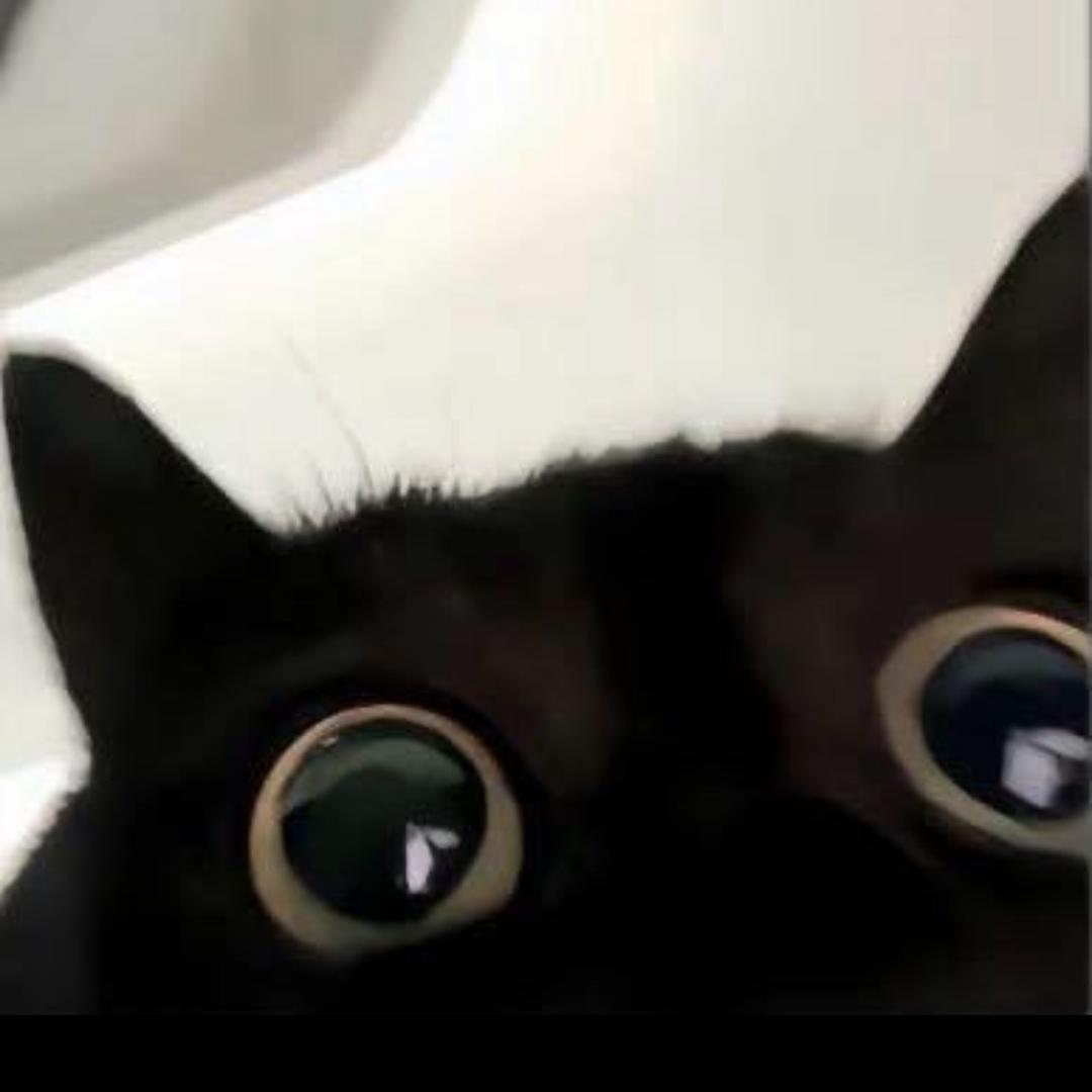 忧郁的烤肠