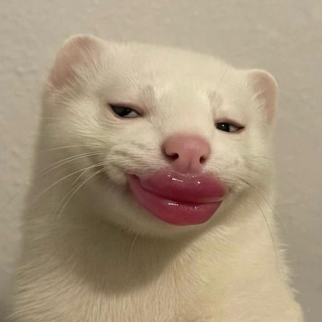 请我吃拌鸡架多糖多醋不要香菜