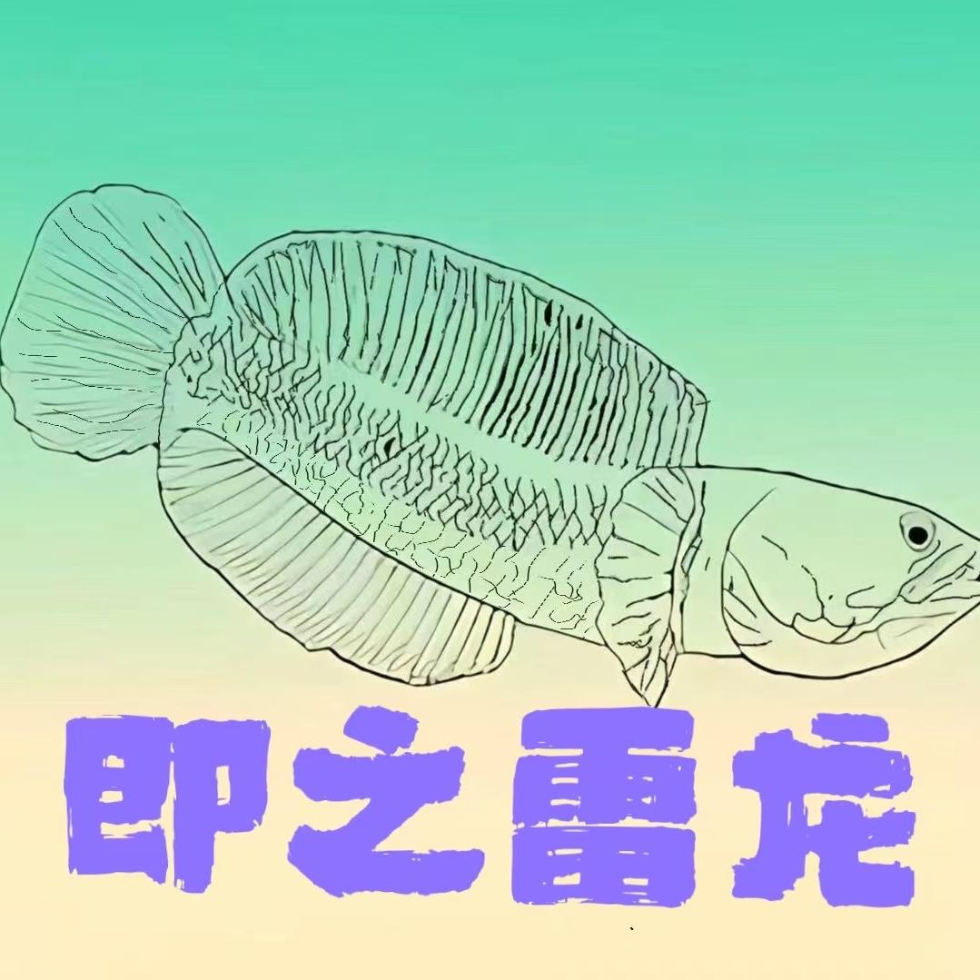 即之雷龙工作室