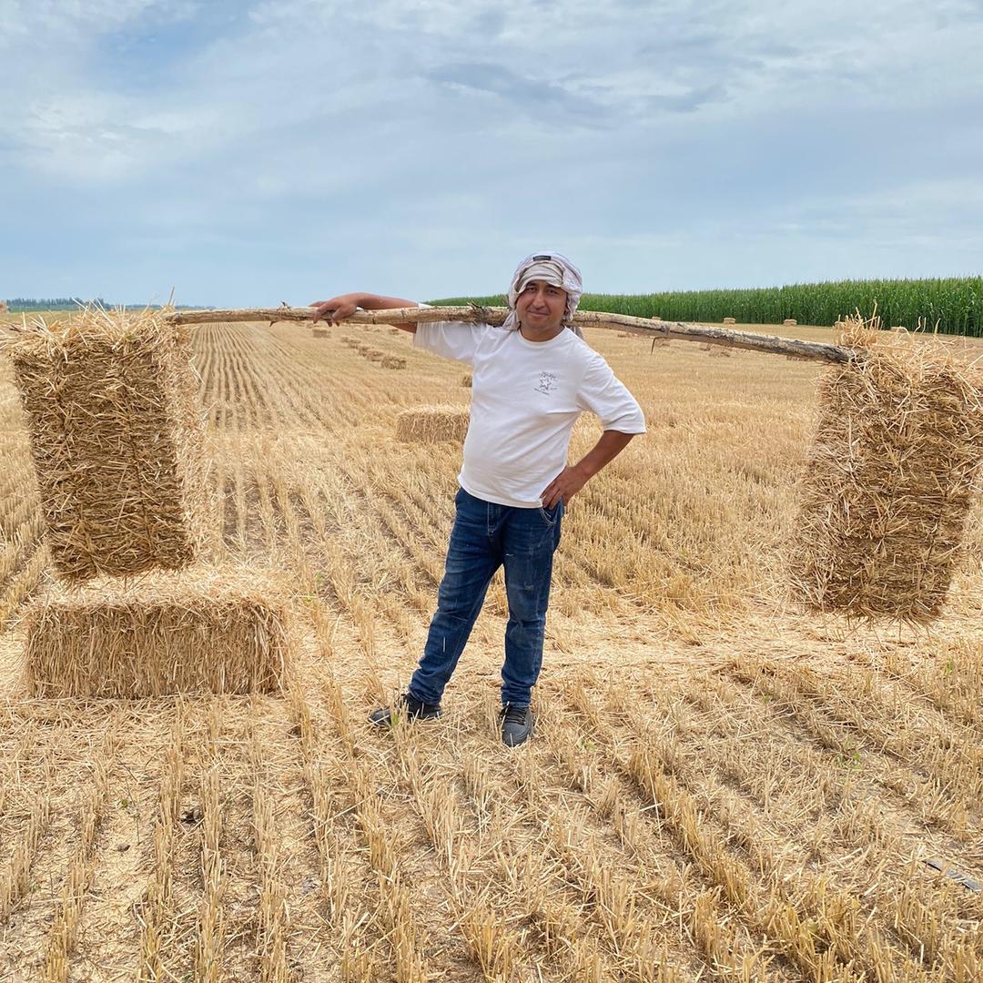 sa man qi   $  麦草人 &