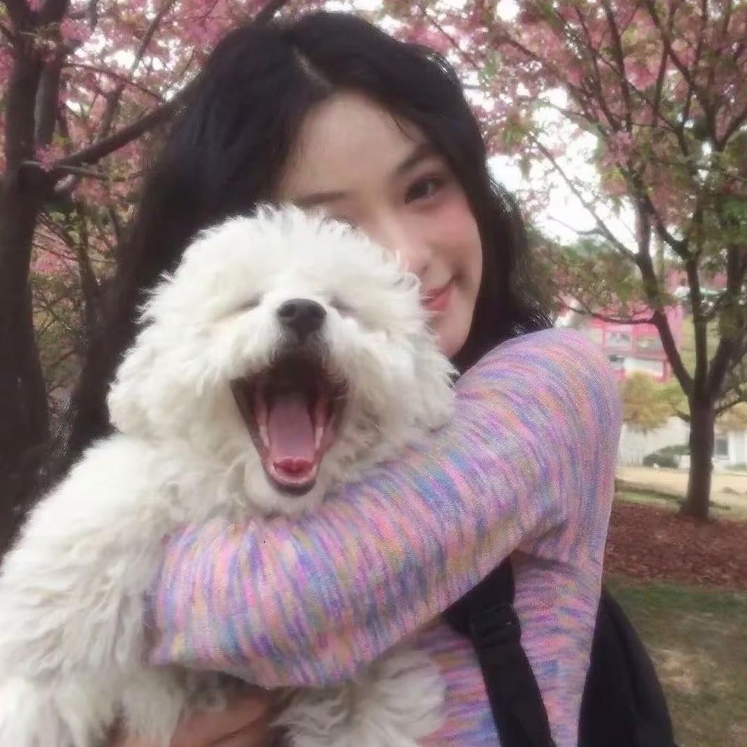 甜恬瑞士卷