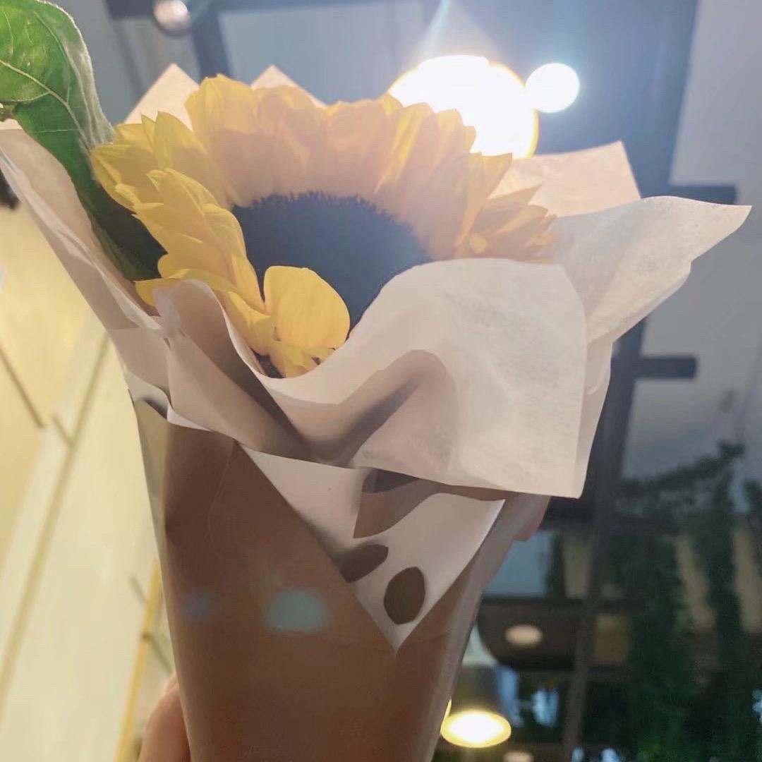 城南花已开