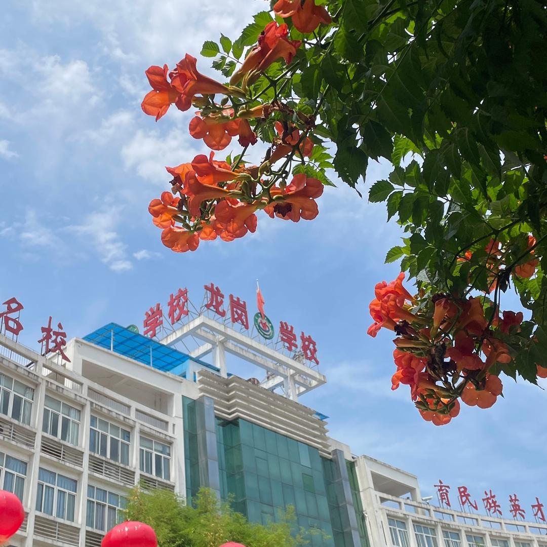 爱龙岗