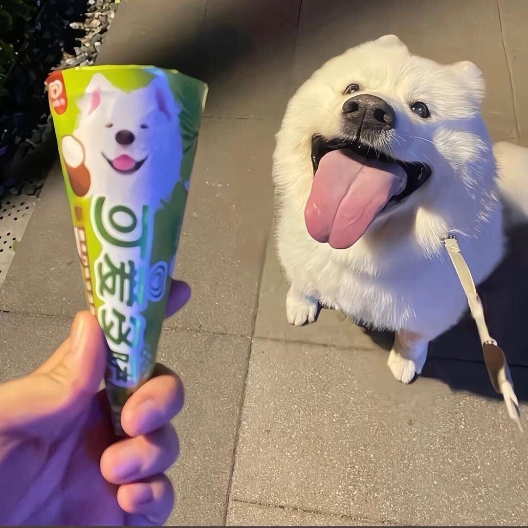 小桐
