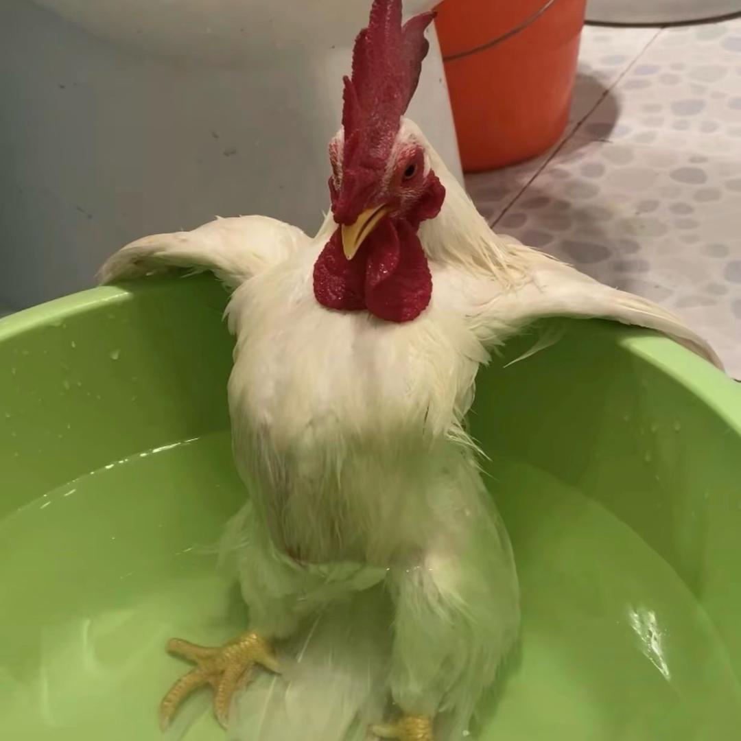 卜野传媒