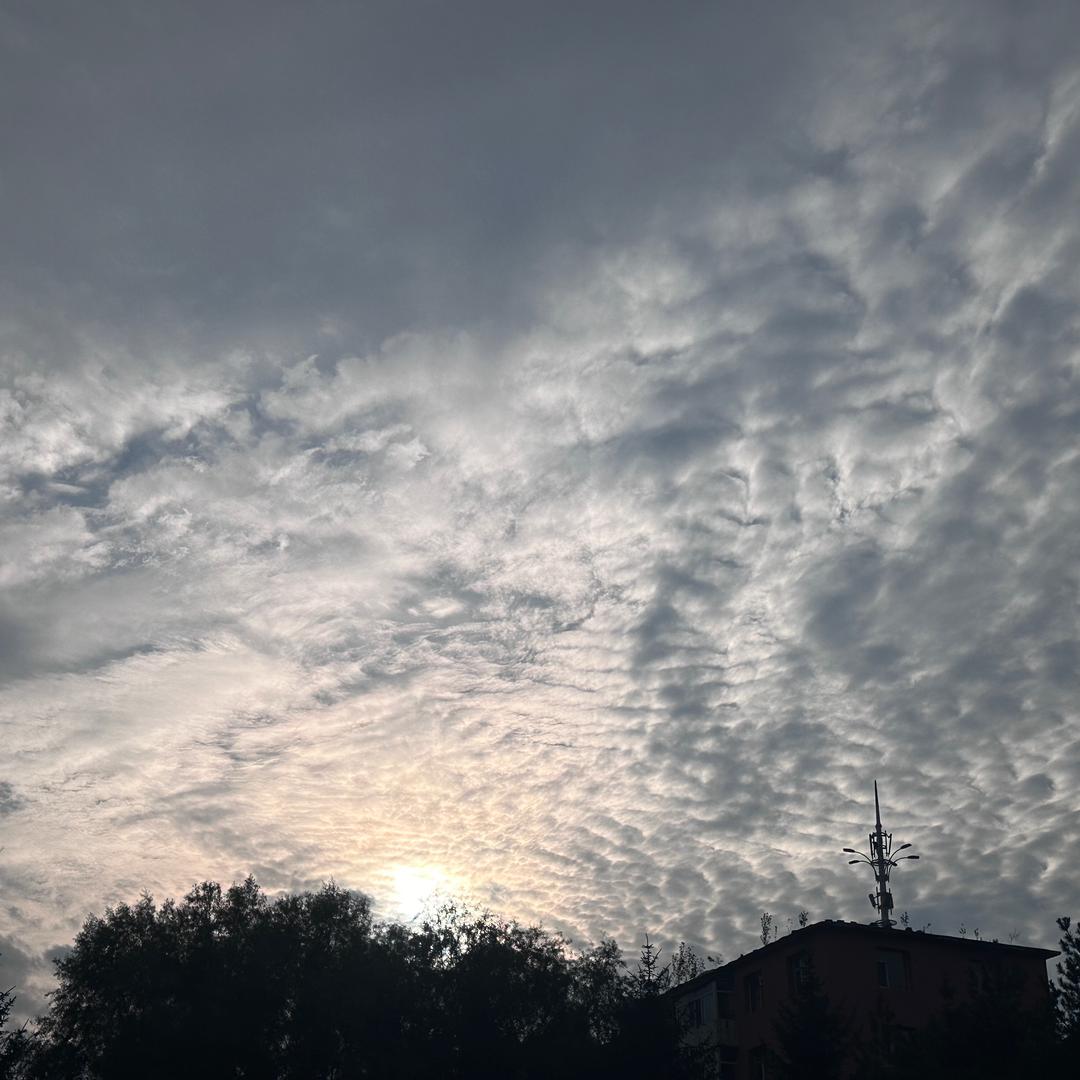 柠柠