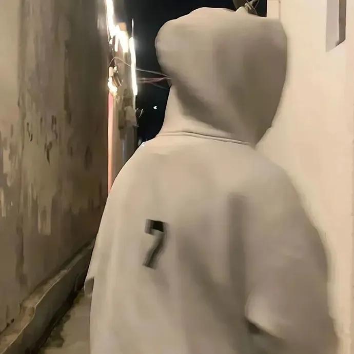 揽月.