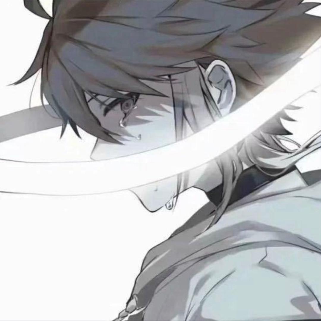 无畏鉴定师—小智（已饿死版）