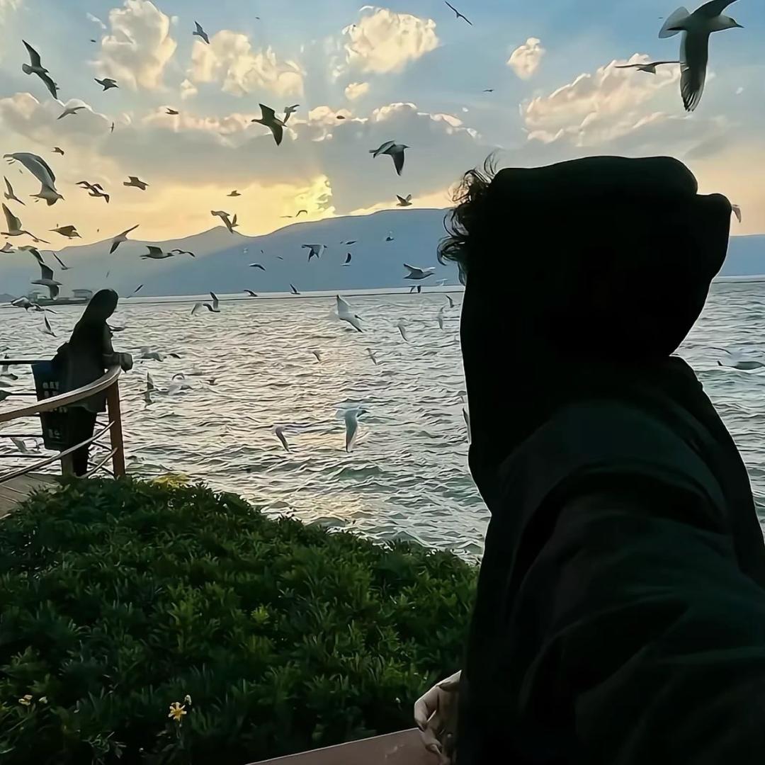 安逸尘.