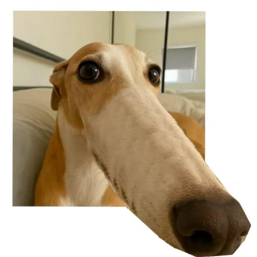 lin0