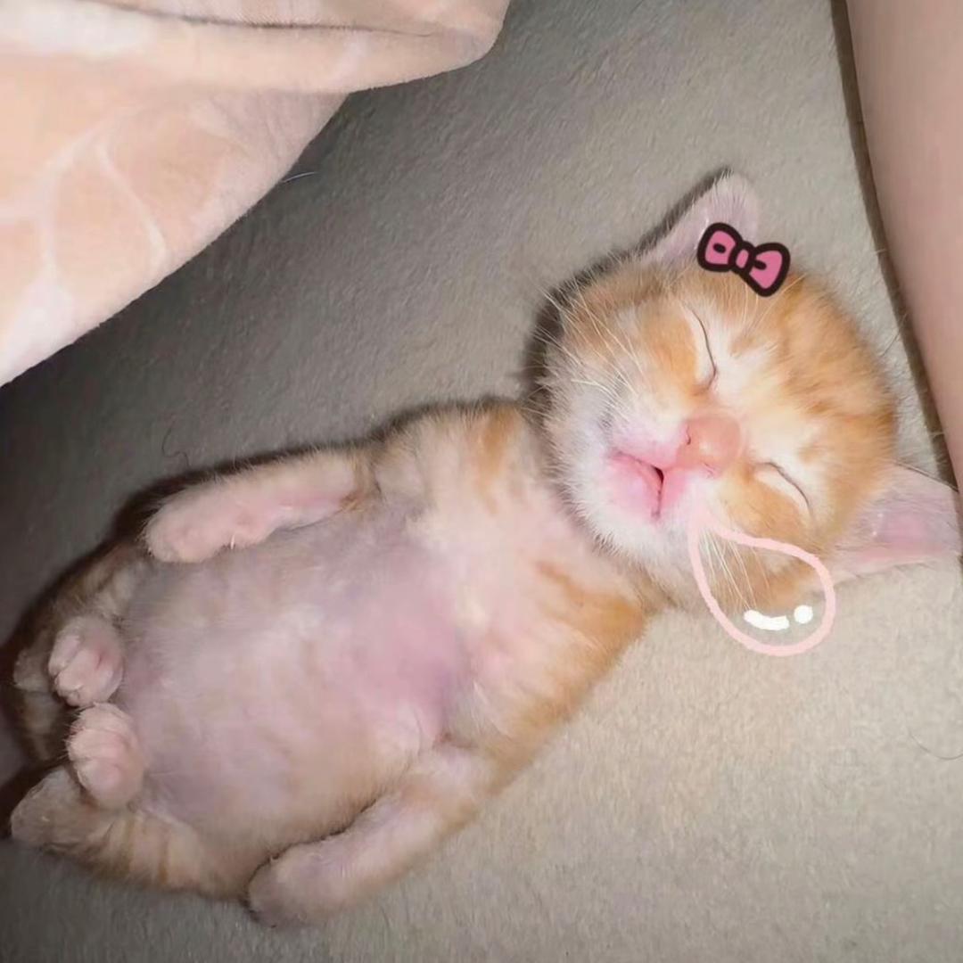 ‍‍