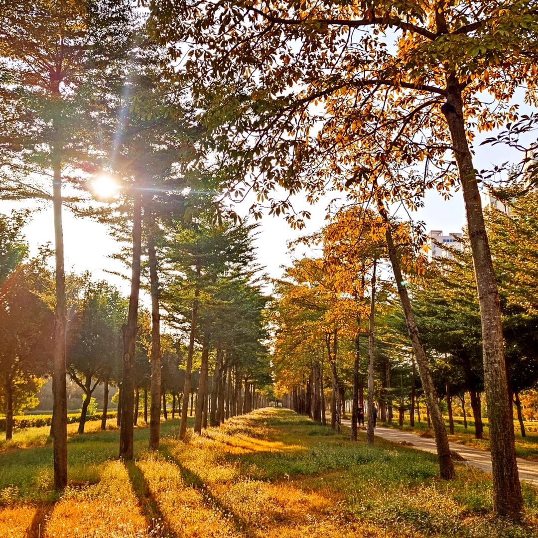 北海旅拍摄影师-星辰