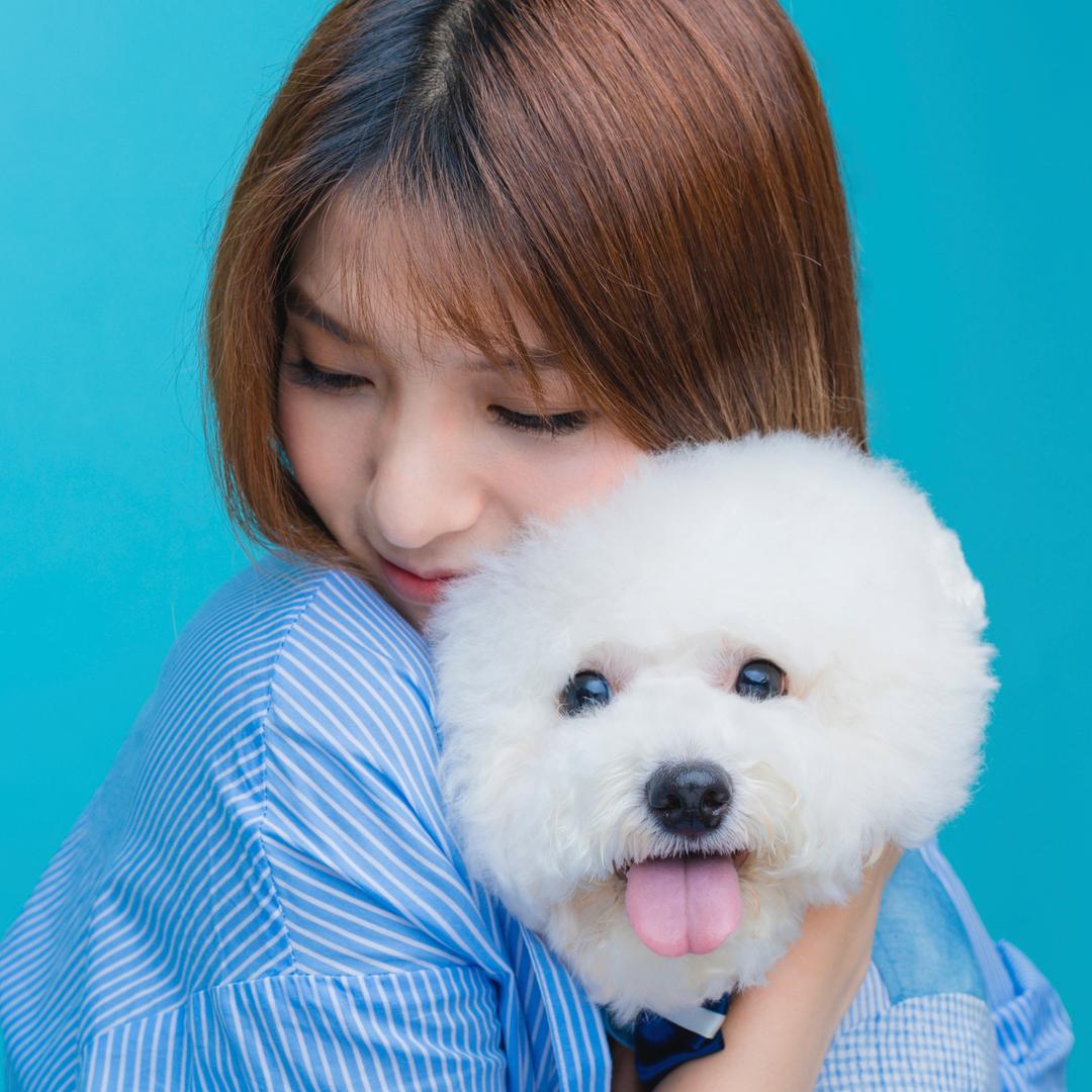 饭团小狗不爱溜