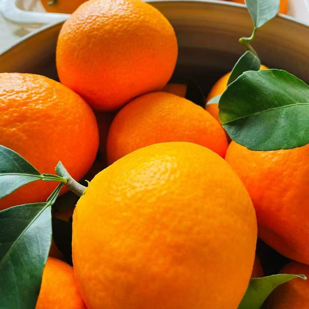 蒜你鲜优享小铺