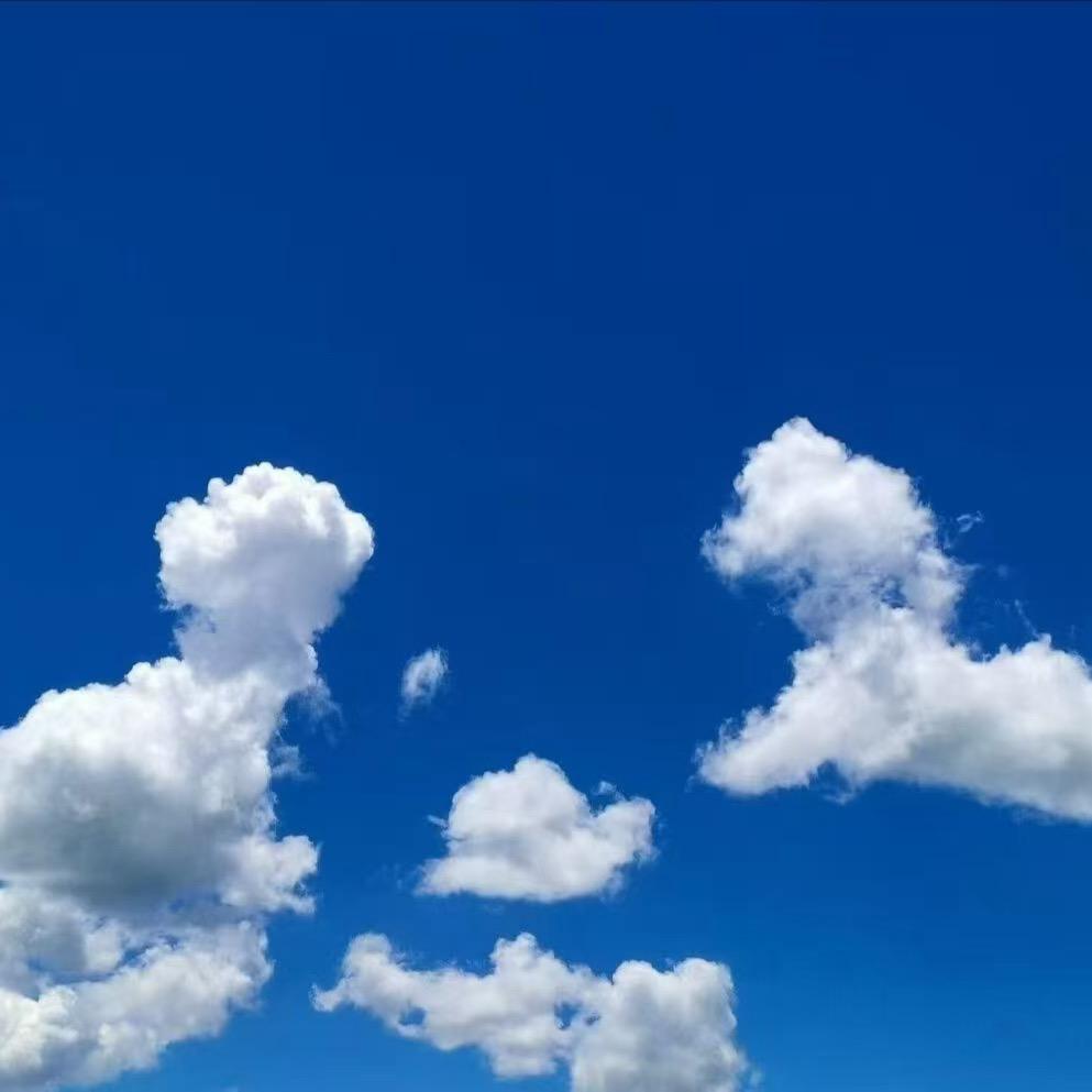 卓玛