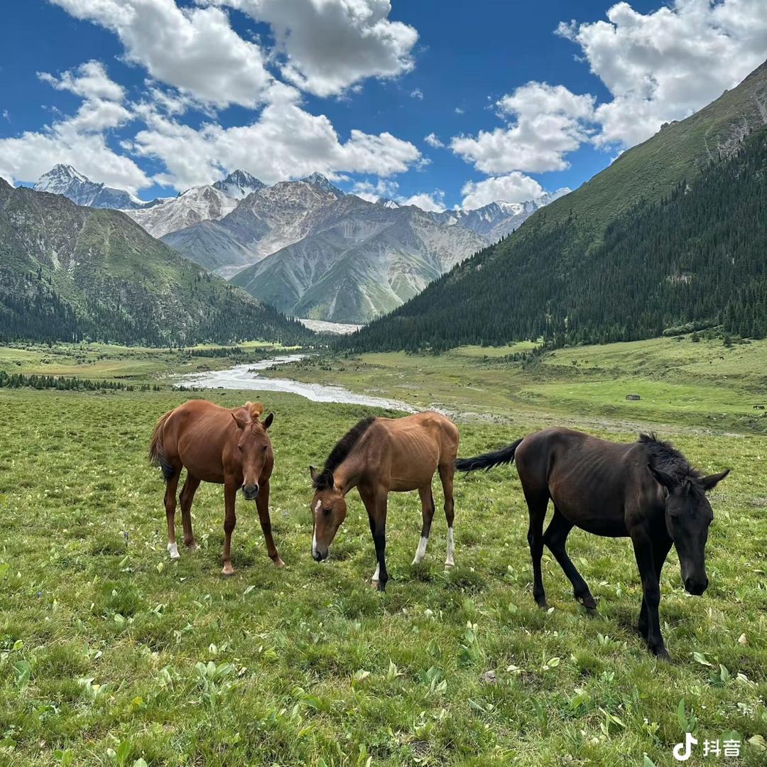 红衣阁红衣阁小天直播号