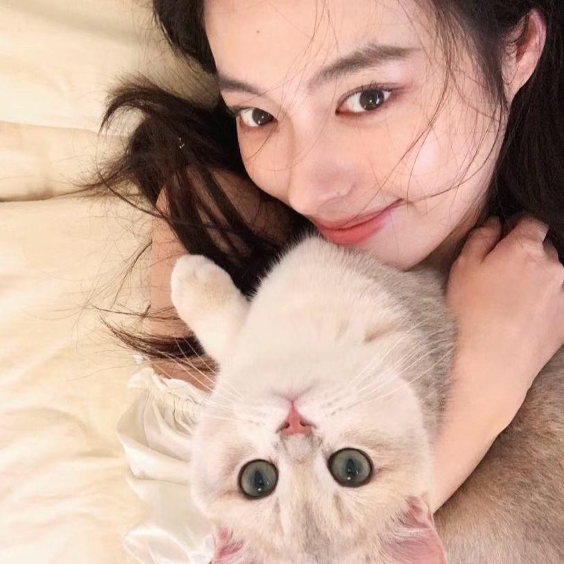 南方美人