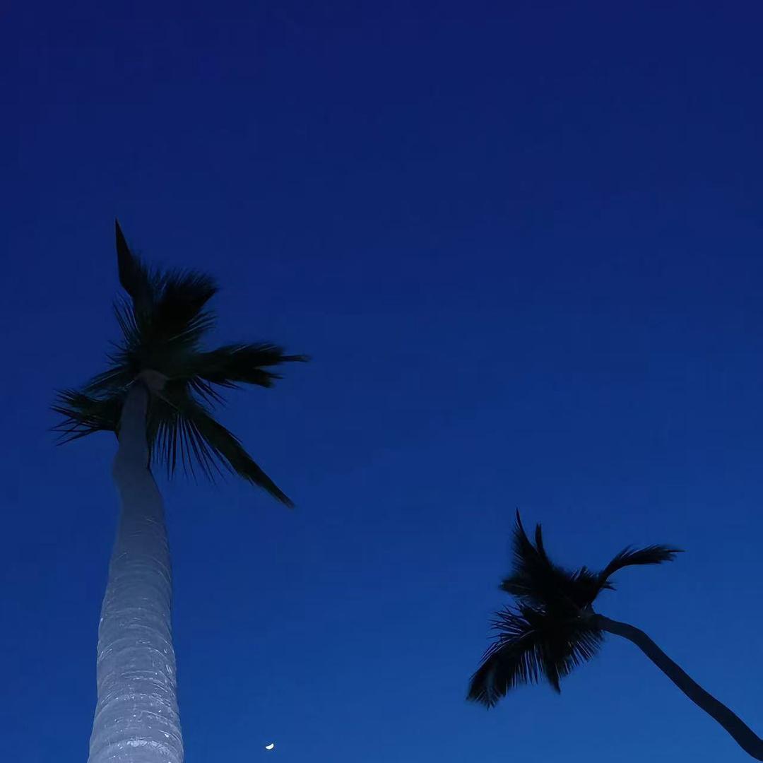 牧晶百货宠粉号直播号