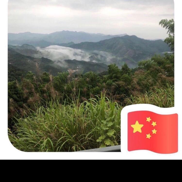 朝哥