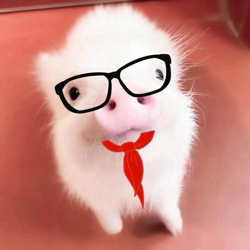 丸老师