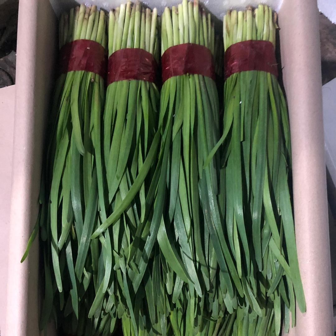 成。寿光市旺鑫土地专业合作社