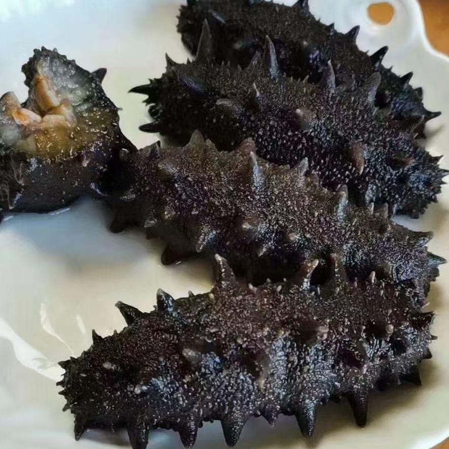 大连善品堂海参