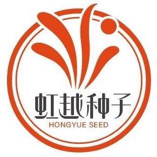 图图の爸爸