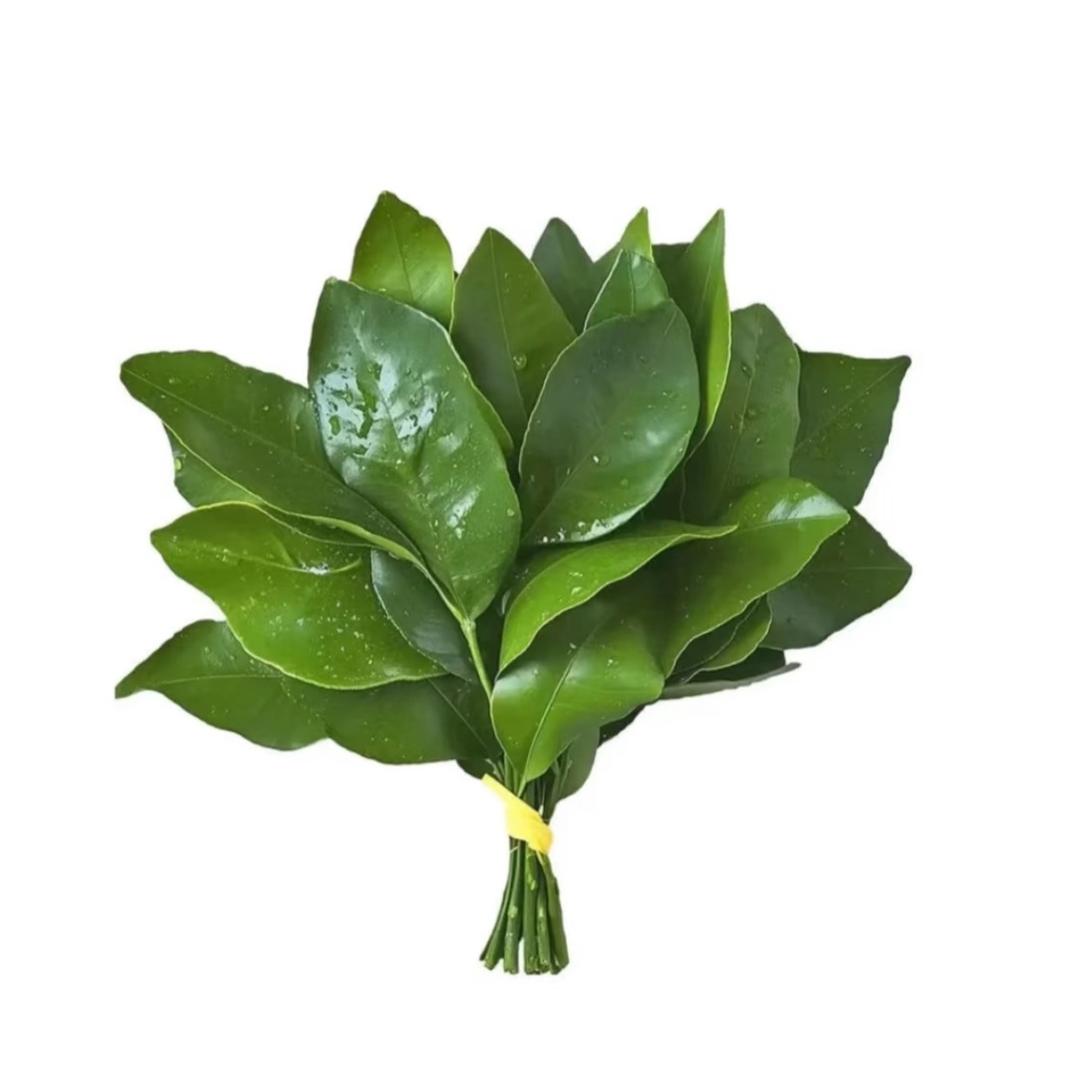 好想泥