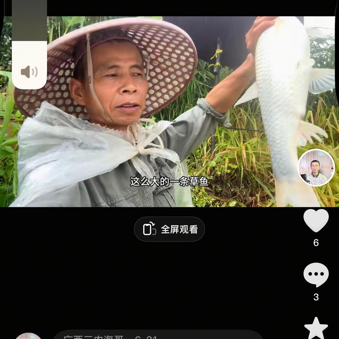 广西三农海哥