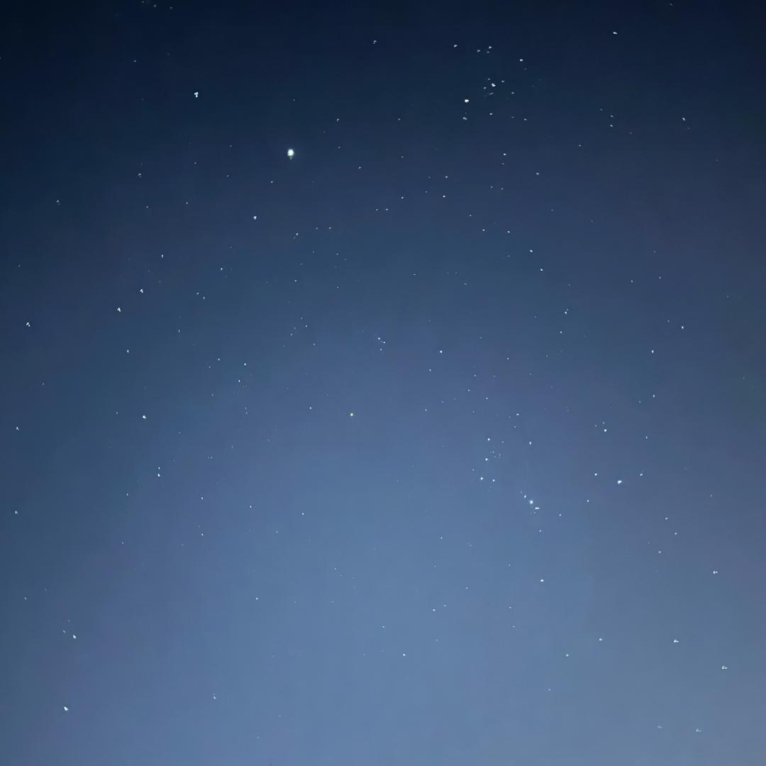 形态条
