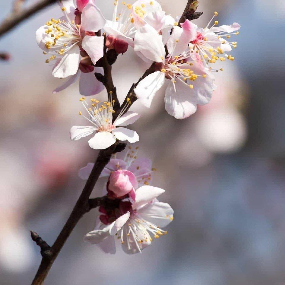 好人一生平安…