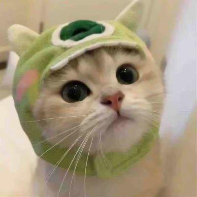 原来你在这