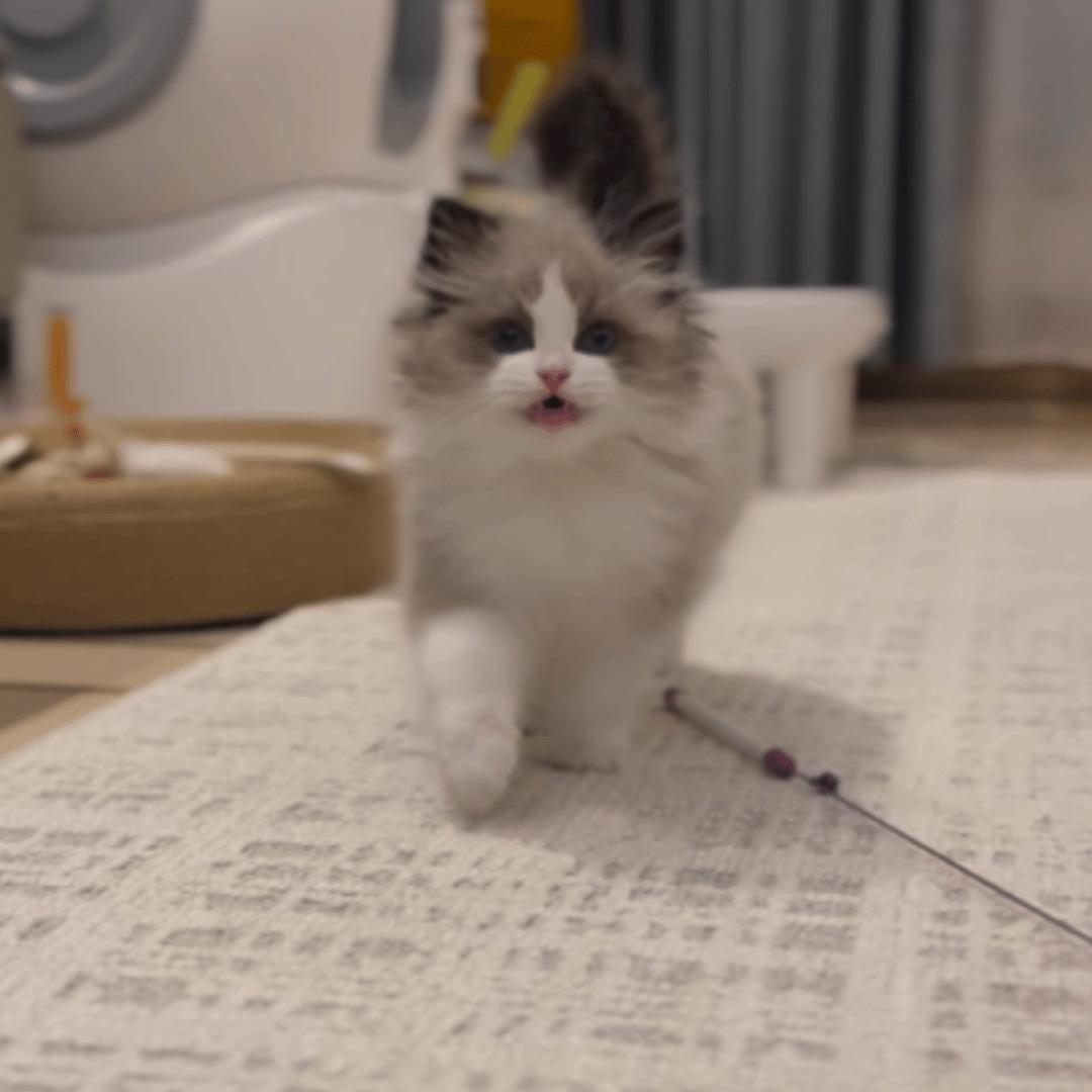 小白记事本