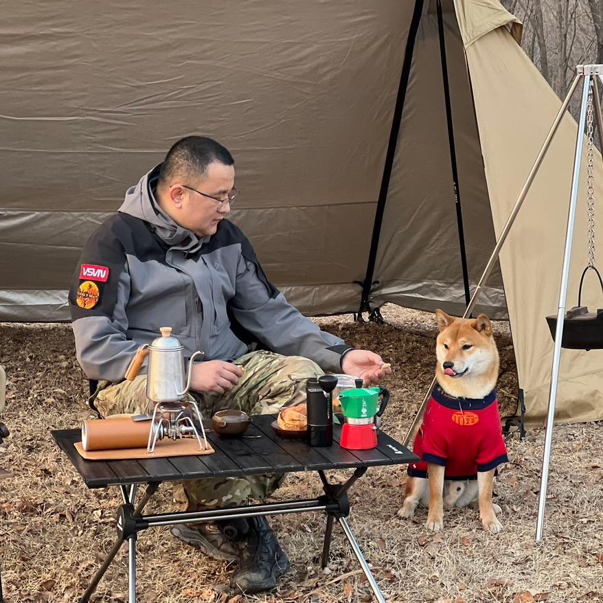 百万是只柴