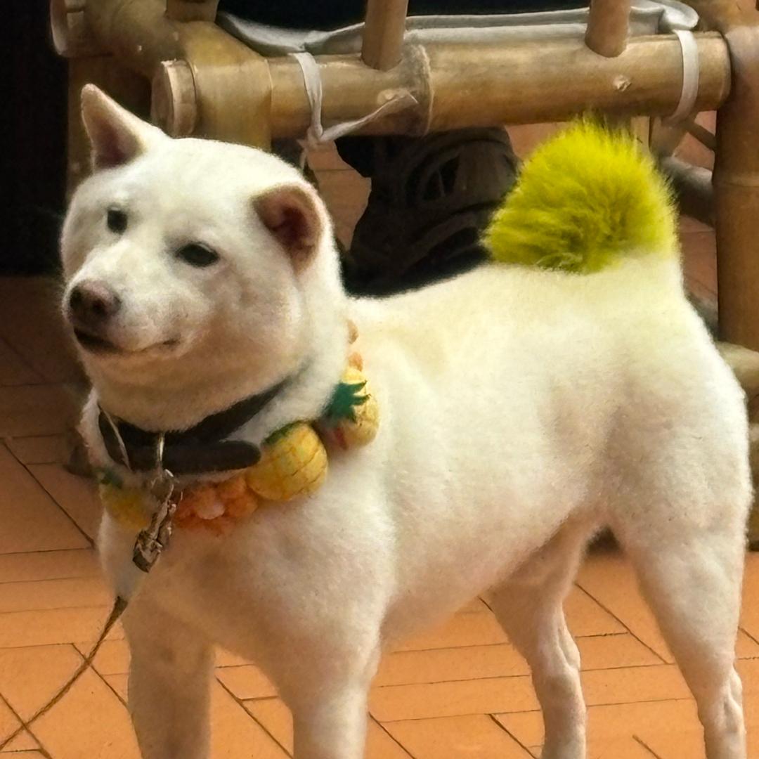 弧度