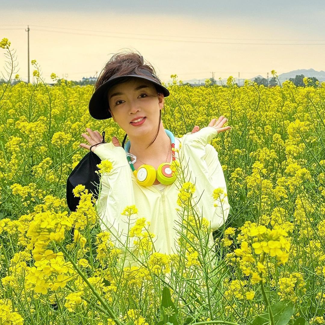 八姨太可可