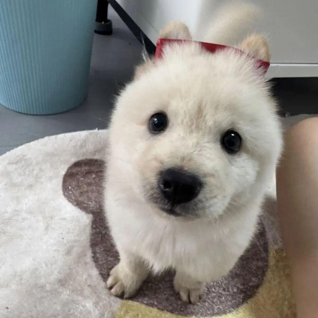 不劳而获 坐享其成