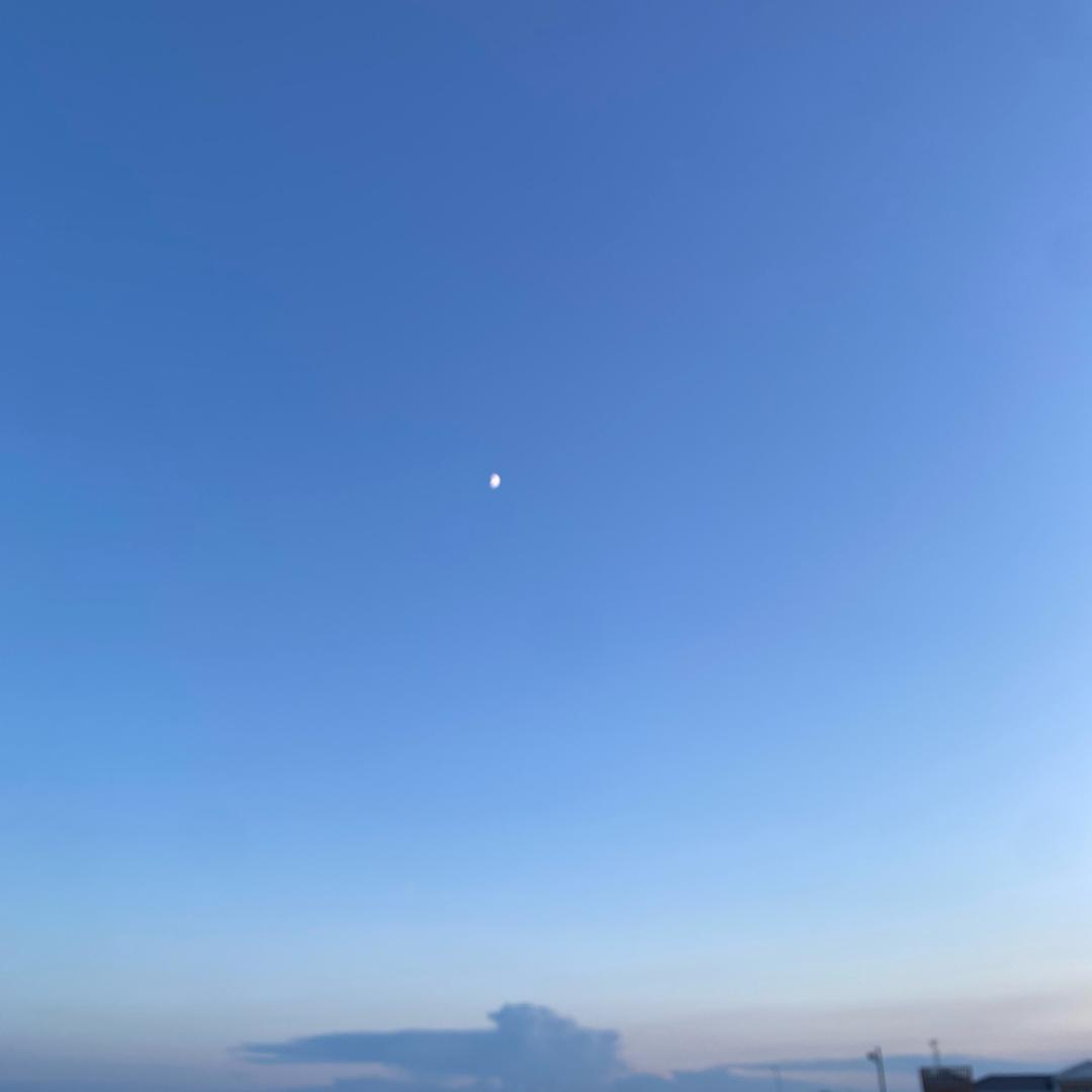 一只葫芦球