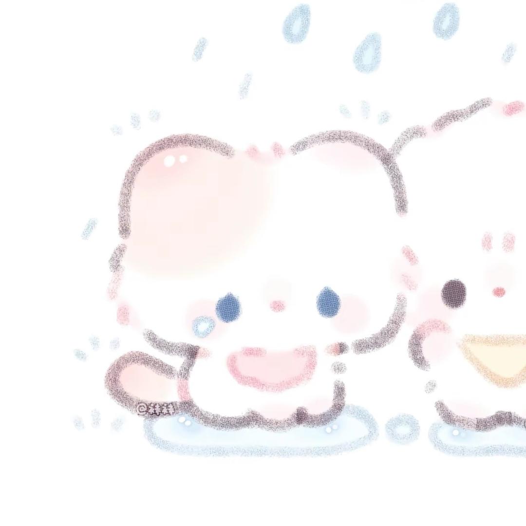 豆荚猫