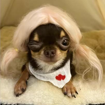 偷穿小三内裤之一拳被打出瓜子脸