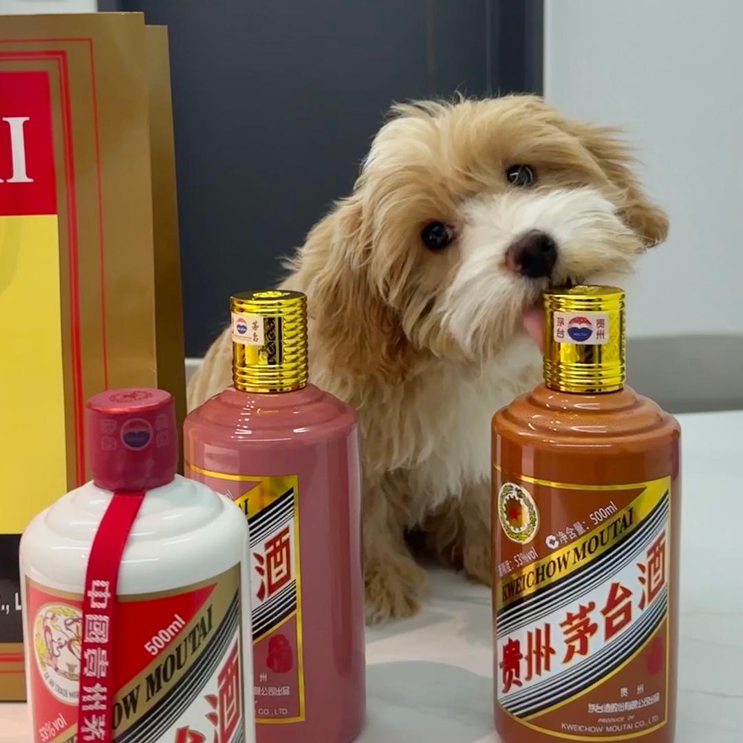 一只茅小台