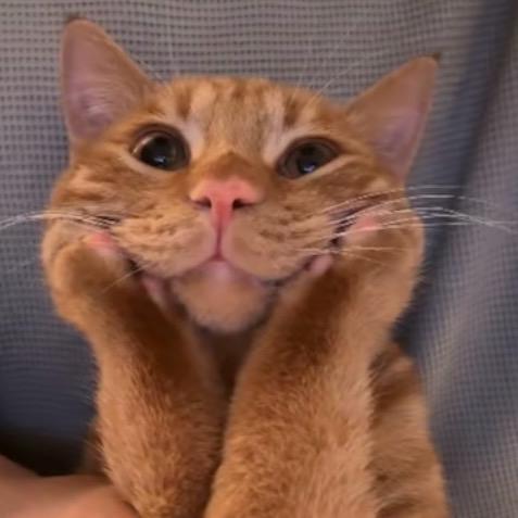 行☀️☀️☀️