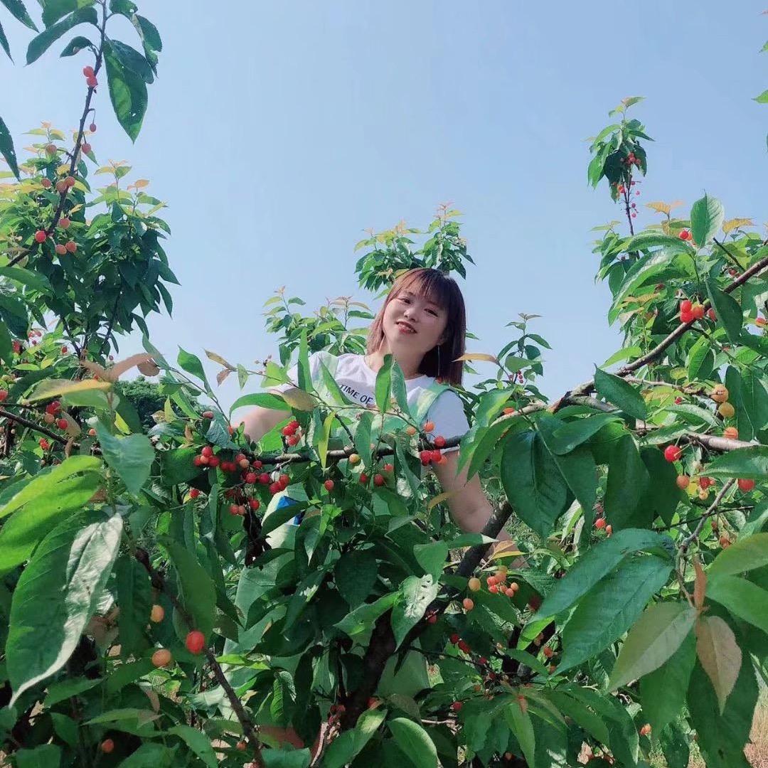 小琴妹